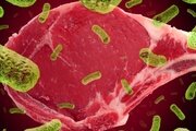 В мясных полуфабрикатах обнаружены опасные бактерии