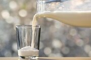 В Кабардино-Балкарском филиале напомнили про новые требования к маркировке молочной продукции