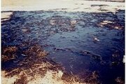 Загрязнение почв нефтепродуктами.