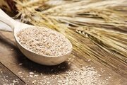 В отрубях пшеничных пищевых обнаружены БГКП
