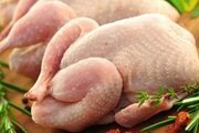 Антибиотики в тушке курицы
