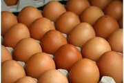 О несоответствиях биохимического состава инкубационных яиц