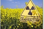 Превышений по показателям радиационной безопасности с 19 по 23 августа не выявлено