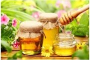 Мед содержит метаболит фуразолидона- АОЗ
