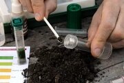 Установлен процент содержания обменного калия в образцах почвы в рамках государственной работы на определение плодородия