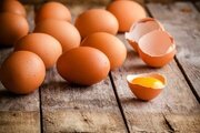 В рамках исполнения плана по реализации пищевого мониторинга в ходе исследования обнаружены следы хинолонов в образцах столовых яиц