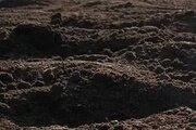 О превышении предельно допустимых норм нитратов в почве