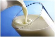 Несоответствие жирно-кислотного состава образца молока пастеризованного