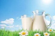 Превышение содержания КМАФАнМ в образцах сырого молока