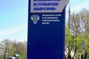 О некоторых результатах участия ФГБУ «Ставропольская МВЛ» в МСИ