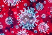 Меры по предотвращению распространения коронавирусной инфекции