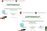 Повышение квалификации специалистов ФГБУ «Северо Кавказская межрегиональная ветеринарная лаборатория»