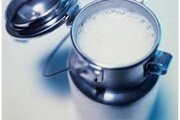 Пороки сырого молока
