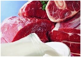 О содержании антгельминтиков в мясе говядины