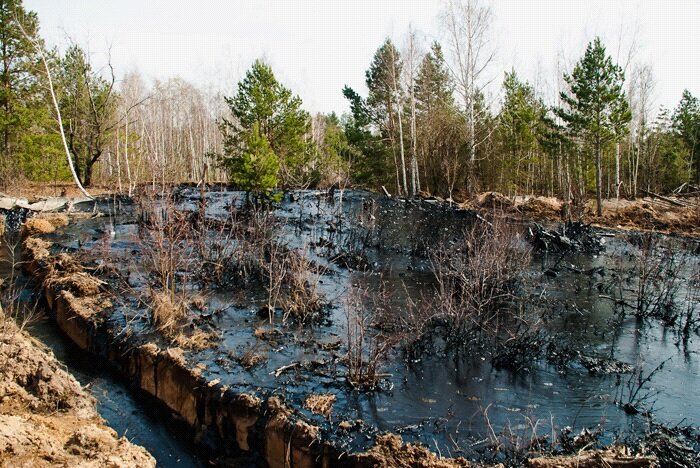 Высокой уровень загрязнения почвы нефтепродуктами