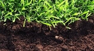 О снижении плодородия почв