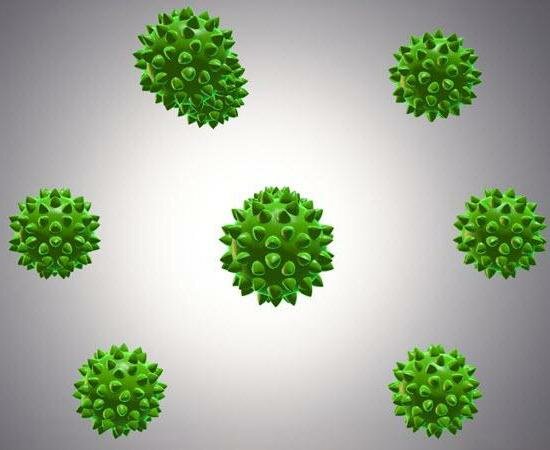 Отсутствие специфических поствакцинальных антител к вирусу ящура