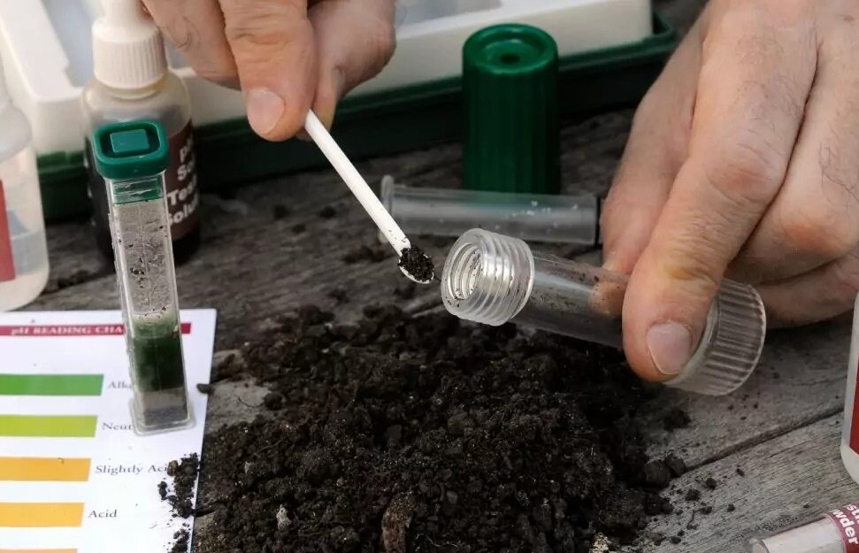 Установлены химико-токсикологические показатели образцов почв в рамках государственной работы по определению техногенного воздействия на почву