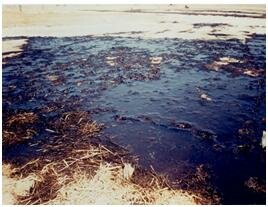 Загрязнение почв нефтепродуктами.