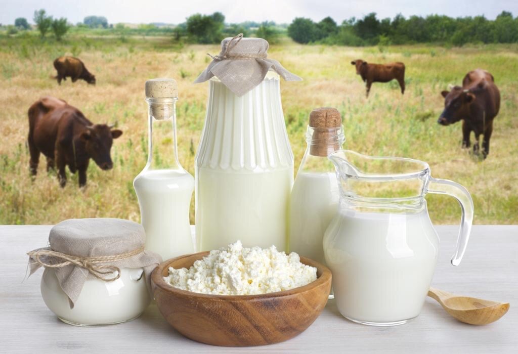 Специалистами отдела пищевой микробиологии ФГБУ «Ставропольская МВЛ» обнаружено превышение содержания соматических клеток в сыром молоке.