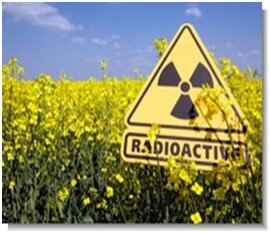 Превышений по показателям радиационной безопасности с 19 по 23 августа не выявлено