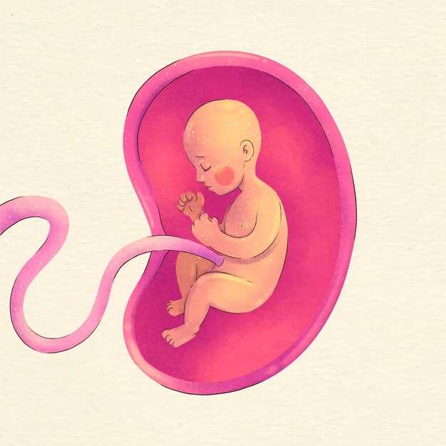 Подготовка матки для приема эмбриона