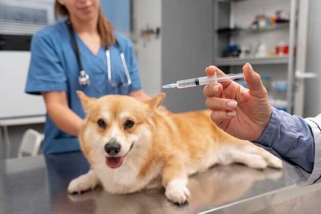 Как правильно дозировать таблетки Найз для собак