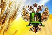 Россельхознадзор информирует о сроках предоставления пакета документов предприятиями, осуществляющими перемещение товаров за пределы РФ