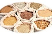 ИССЛЕДОВАНИЯ КОРМОВ БАК ОТДЕЛ