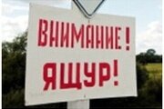 Меры профилактики ящура у животных и людей