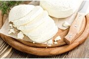 Об обнаружении БГКП в образцах молочной продукции