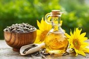 Определение качества растительных масел