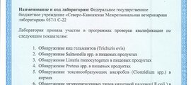 Специалисты учреждения успешно прошли программу проверки квалификации