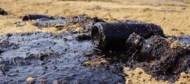 В лаборатории рассказали о пробах почвы на загрязнение нефтепродуктами