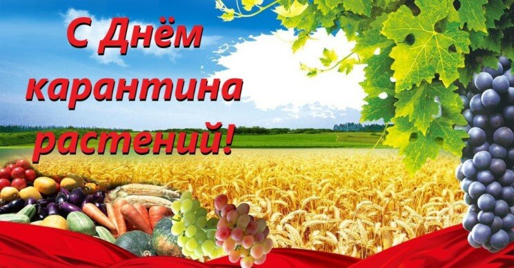 С Днём карантина растений!