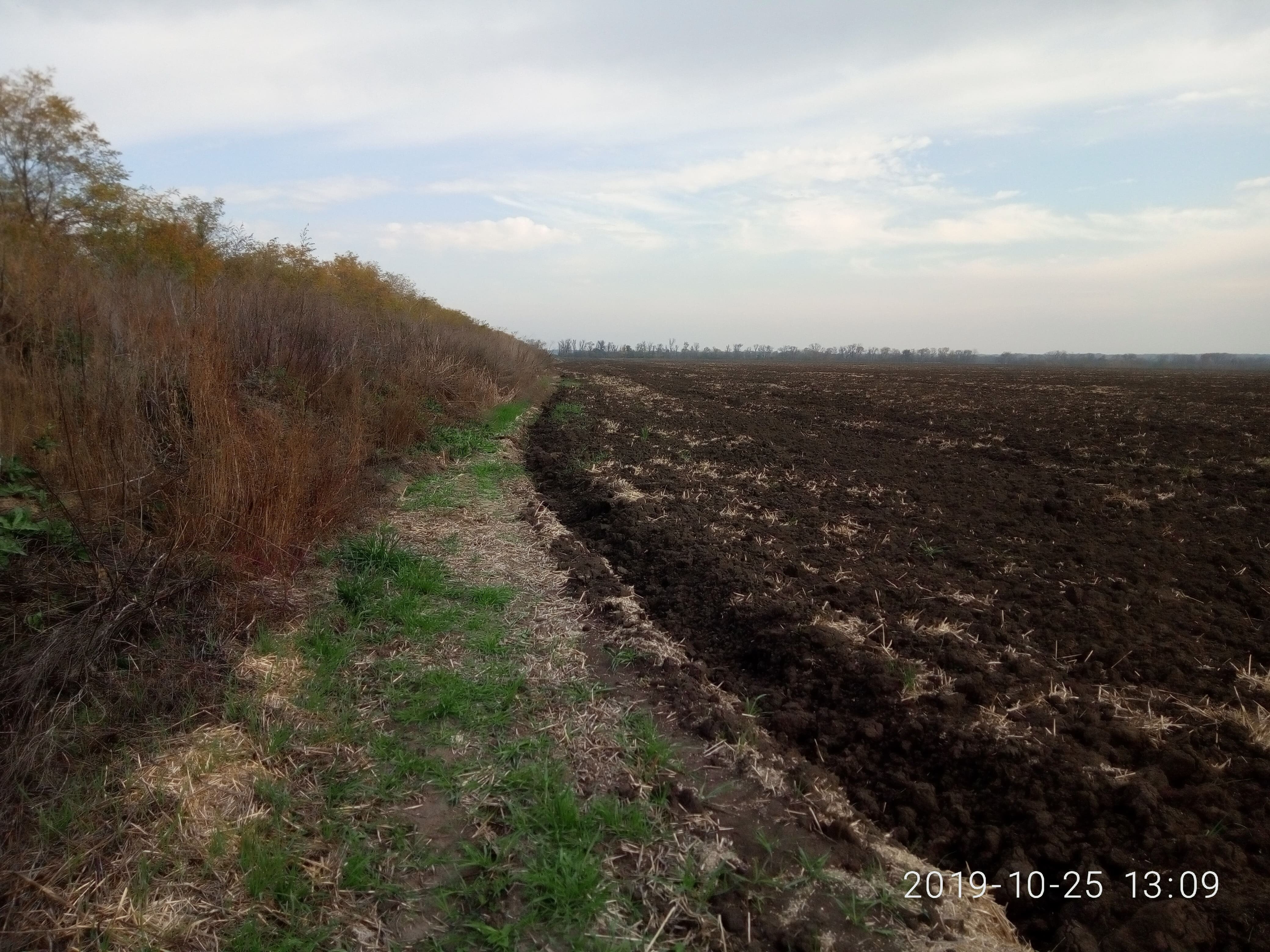 Показатели почвенного плодородия. Органическое вещество почвы.