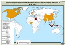 О мировой ситуации по гриппу.